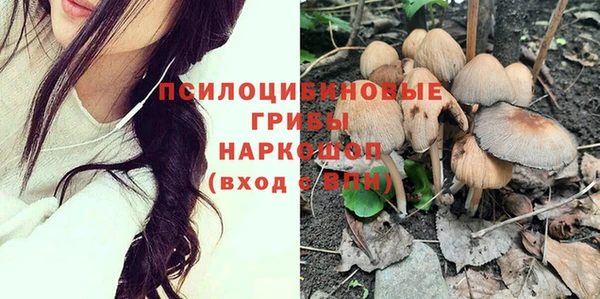 дживик Алексеевка