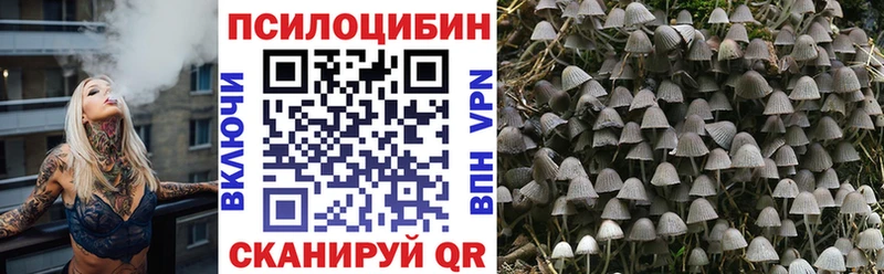 Псилоцибиновые грибы Cubensis  omg онион  Харабали 